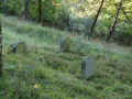 Oberwesel Friedhof 192.jpg (162728 Byte)