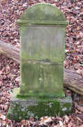 Plaue Friedhof 311.jpg (140865 Byte)