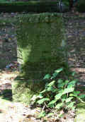 Schortens Friedhof e193li.jpg (126018 Byte)