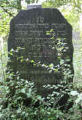 Neustadt-Goedens Friedhof 1122.jpg (164966 Byte)