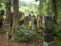 Muehringen Friedhof 12029.jpg (267589 Byte)