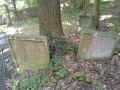Wertheim Friedhof 130603.jpg (253504 Byte)