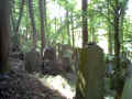Wertheim Friedhof 130605.jpg (209791 Byte)