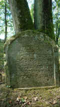 Heinsheim Friedhof 1598.jpg (205874 Byte)