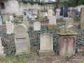 Warburg Friedhof IMG_8574.jpg (235045 Byte)