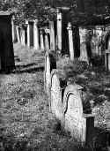 Freudental Friedhof 232.jpg (89769 Byte)