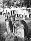 Niederstetten Friedhof 211.jpg (96047 Byte)