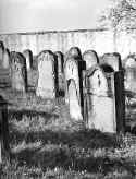 Niederstetten Friedhof 214.jpg (81926 Byte)