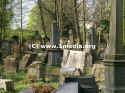 Wiesbaden Friedhof 200.jpg (56897 Byte)