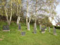 Koenen Friedhof 100.jpg (144975 Byte)