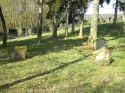 Wittlich Friedhof 111.jpg (140412 Byte)