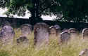 Niederstetten Friedhof204.jpg (77175 Byte)